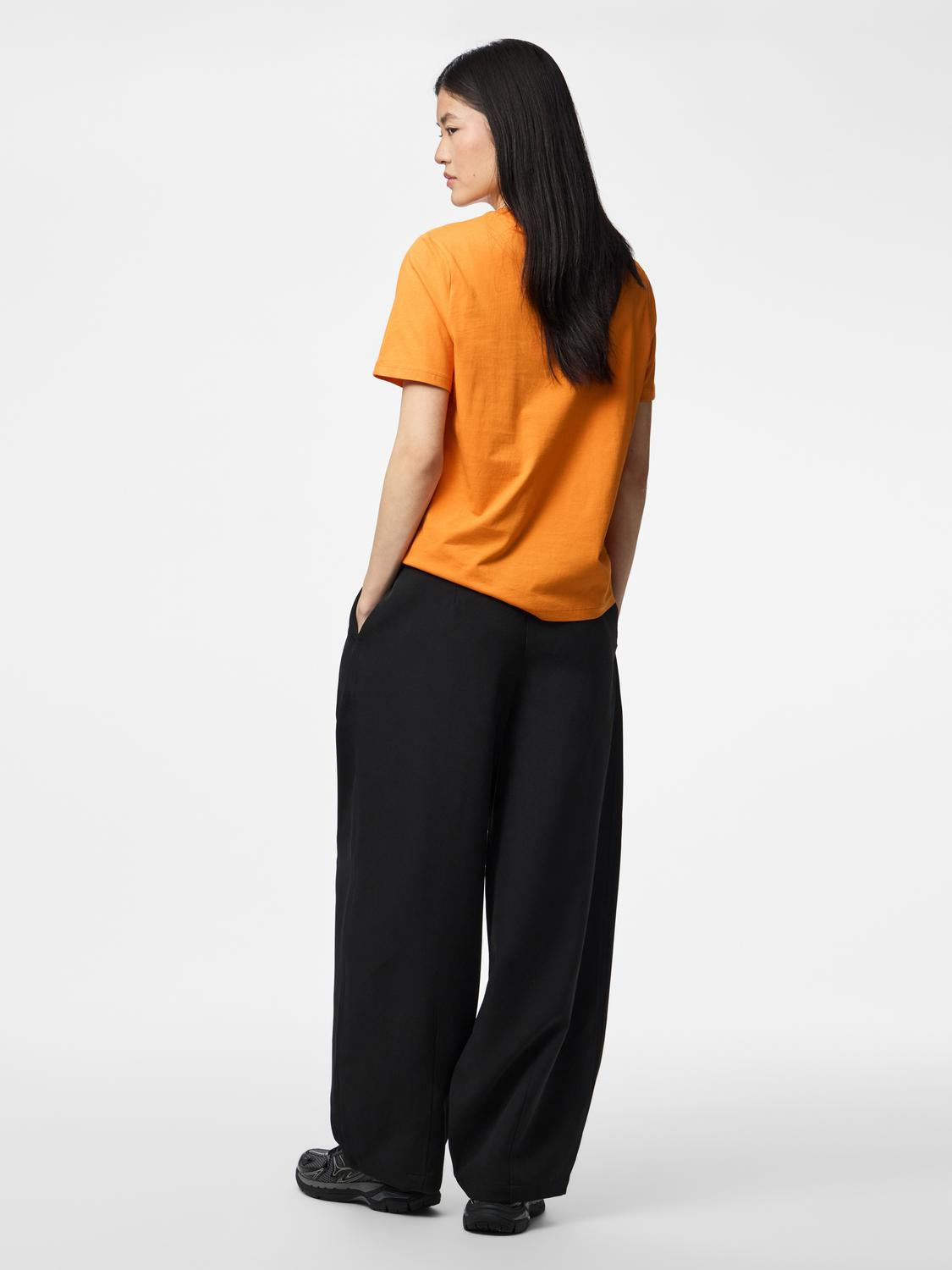 model_shot-back